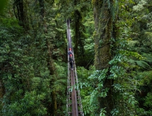 bridge